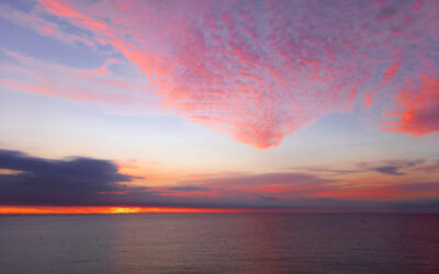 NDRW – Chapter 2 – Die Ladies